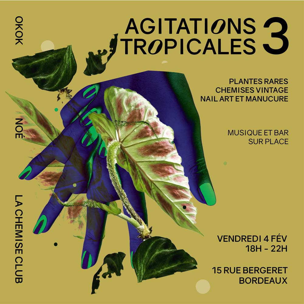 Projet graphique, évènement agitation tropicale à Bordeaux.