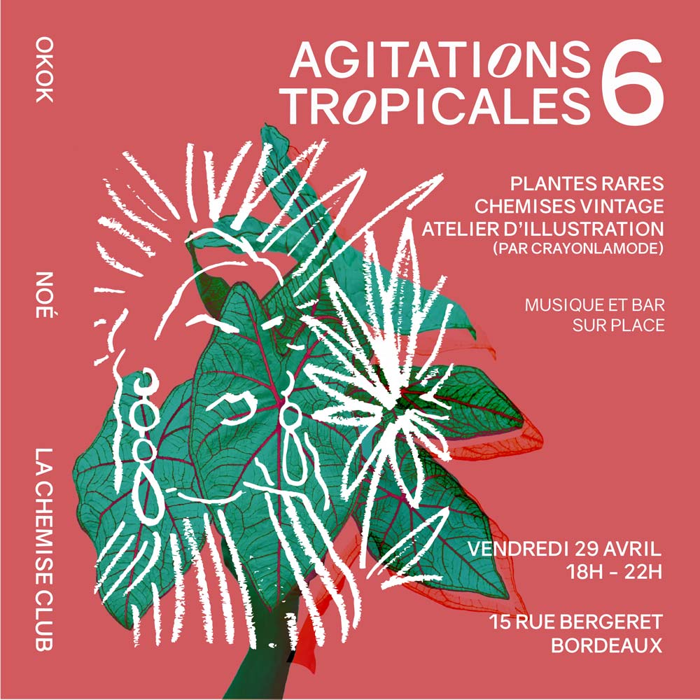 Projet graphique, évènement agitation tropicale à Bordeaux.